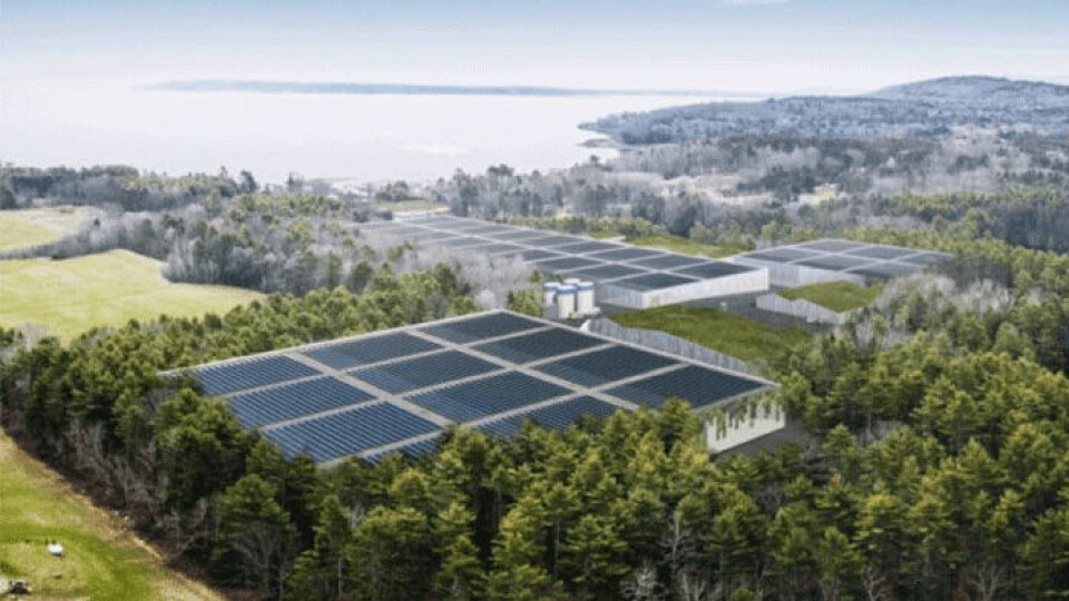 Nordic's Belfast farm will be built in two stages. Image: Nordic Aquafarms.
