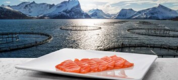 Norway reports record August for salmon exports