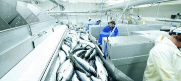 Norway driving hard to keep seafood exports moving