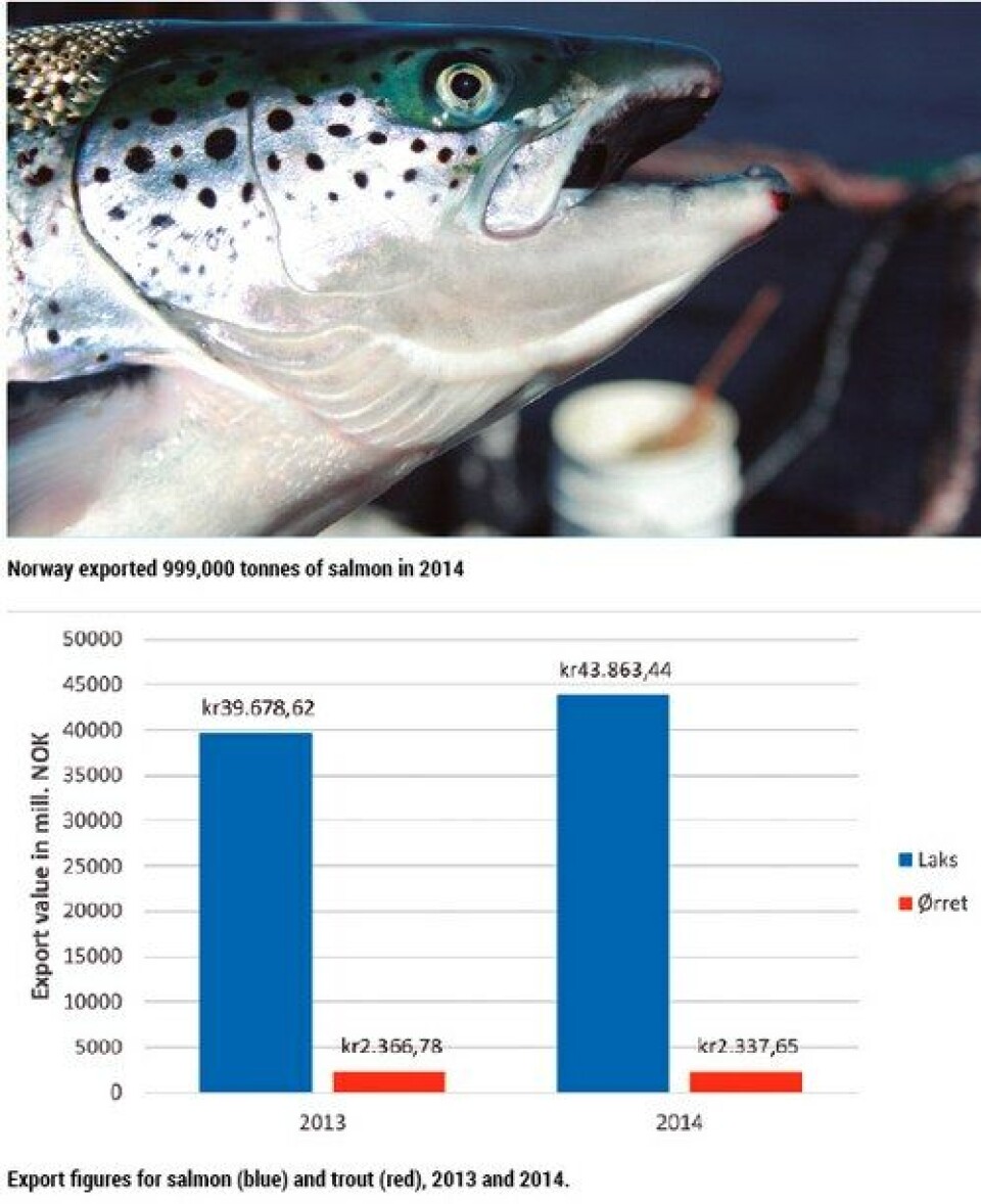 Record salmon exports in 2014