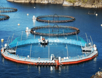 Cermaq is using a floating closed cage for smolts but transfers to fish to open net pens for grow-out. The semi-closed containment system (SCCS) has an impermeable fabric wall and is supplied with water piped from beneath the lice layer. Click on image to enlarge. Photo: Cermaq. Cermaq is using a floating closed cage for smolts but transfers to fish to open net pens for grow-out. The semi-closed containment system (SCCS) has an impermeable fabric wall and is supplied with water piped from beneath the lice layer. Click on image to enlarge. Photo: Cermaq.