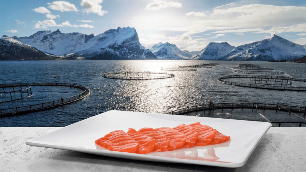 Norway is still exporting huge amounts of salmon but earning less for its product. Norway is still exporting huge amounts of salmon but earning less for its product.