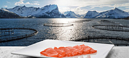 Norway salmon exports worth 13% less in April