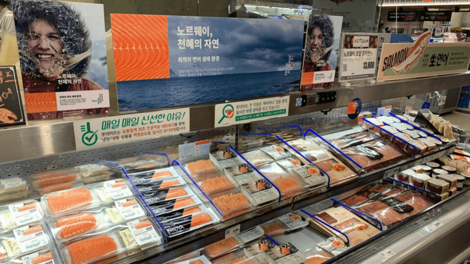 A fish chiller cabinet in South Korea, which imported 15% more Norwegian salmon in Easter week this year than in the equivalent week in 2019. Photo: NSC.