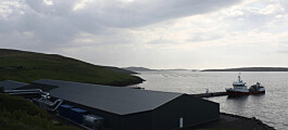 Reduced hatchery volume producing better smolts for Grieg Shetland