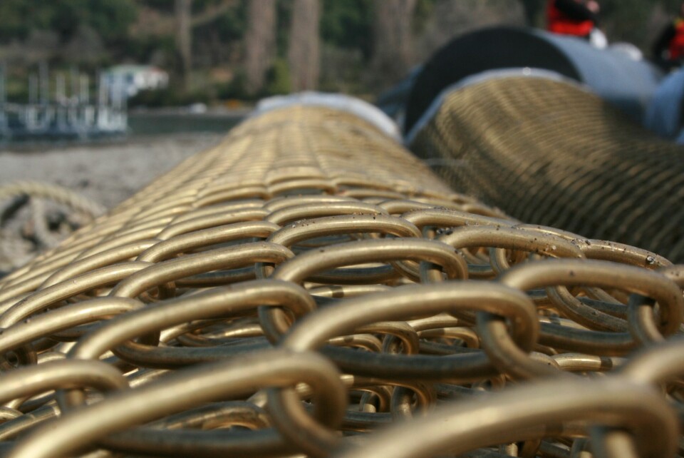ep_bilder
