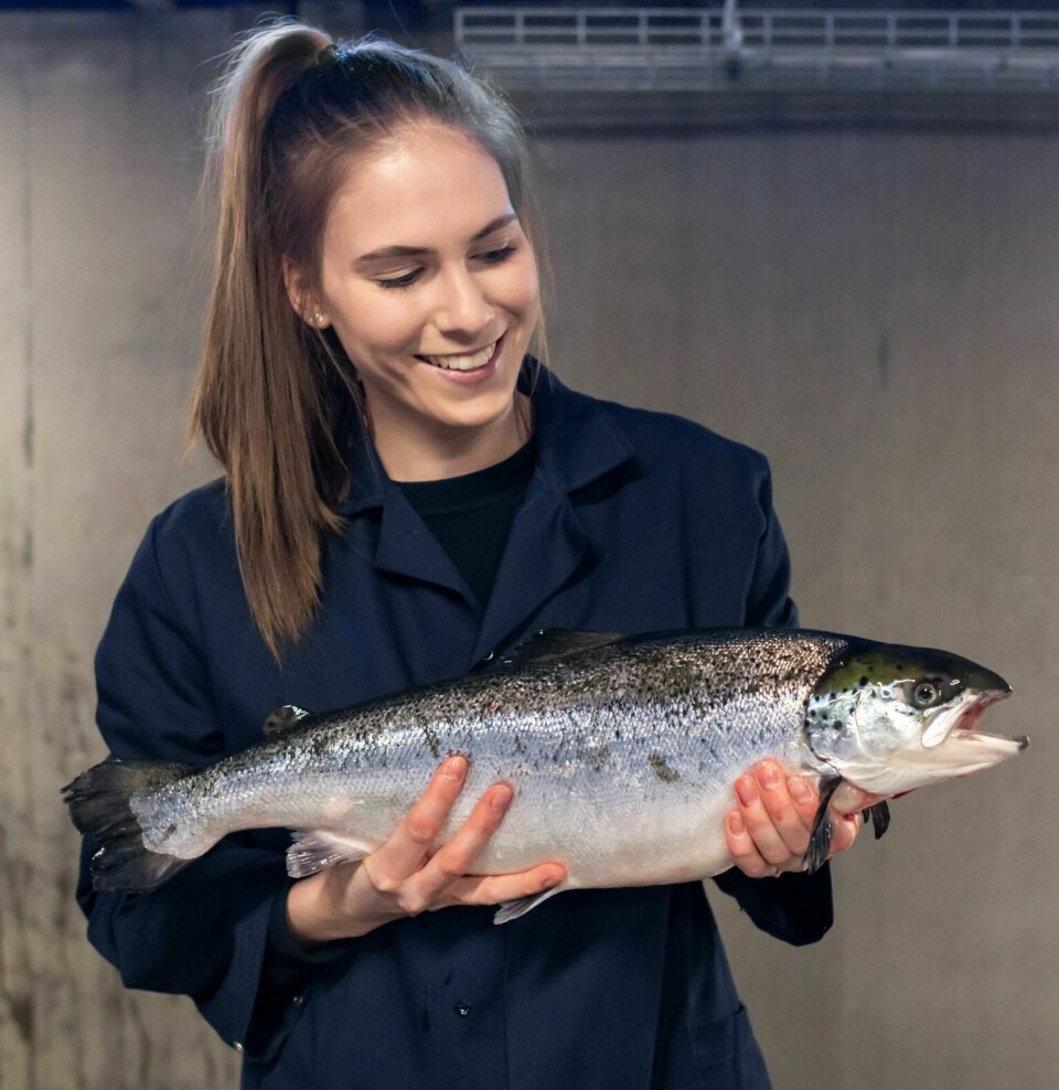 Fredrikstad Seafoods is pleased with the progress of its fish.