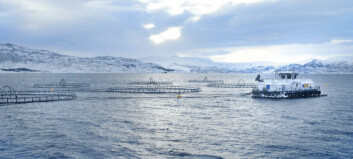 Norwegian salmon farmer NRS facing welfare charges