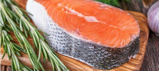 Transgenic-salmon farmer AquaBounty posts $2.4m loss