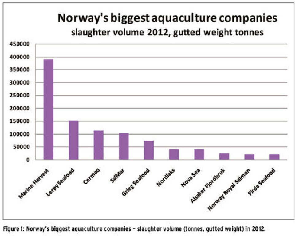 Relaxation of rules of ownership opens for the big fish