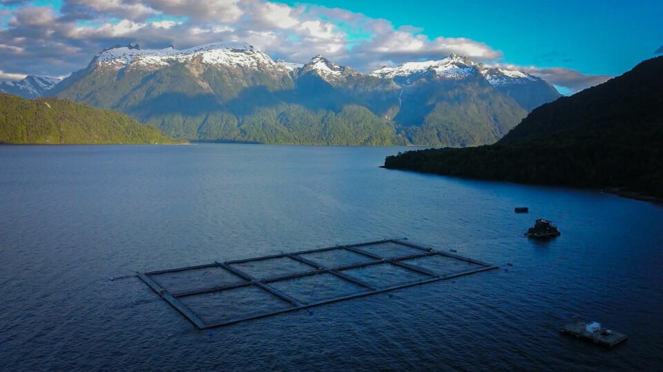 Reference image of a Cermaq salmon farm in Chile. The company plans to enclose one of its sites with an electric fence to prevent salmon being stolen from pens.