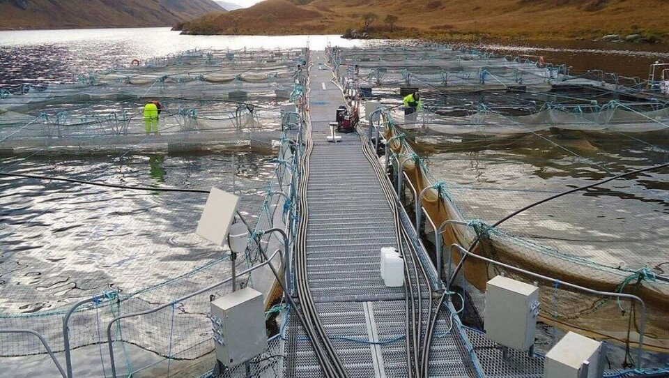 R3-IoT combes satellite, cellular, IoT and data analytics to offers a 'full-stack platform' to businesses such as salmon farms that are poorly served by existing communications infrastructure. Photo: R3-IoT.-IoT.