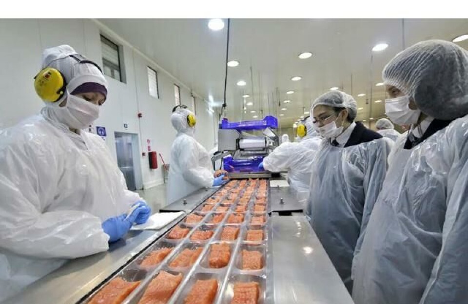 Nova Austral's processing facility in Porvenir.
