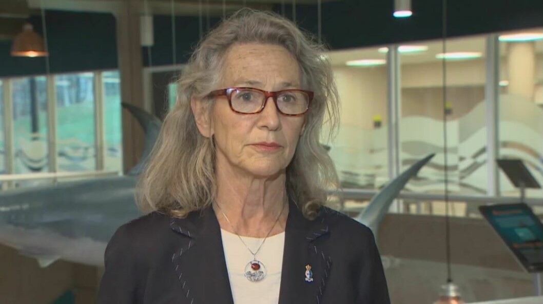 Canadian fisheries minister Joyce Murray has granted two-year licence renewals to BC salmon farms. Photo: CBC.