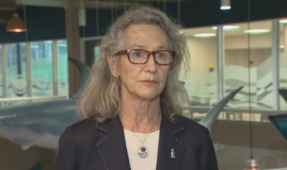 Canada’s fisheries minister ‘may kill BC salmon sector’