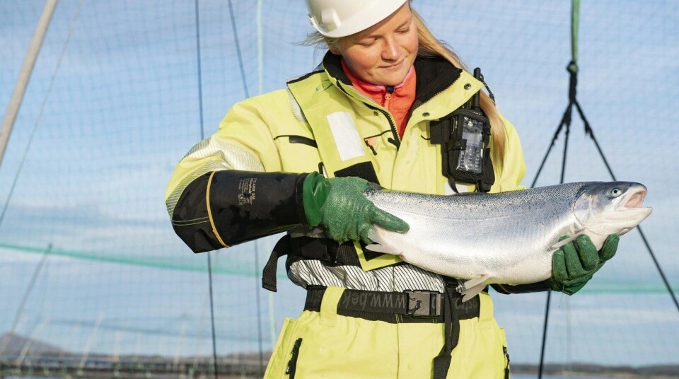 A member of the Firda team with a fjord trout. The company intends to grow post-smolts to 1 kg in SCCS. Photo: Firda website.