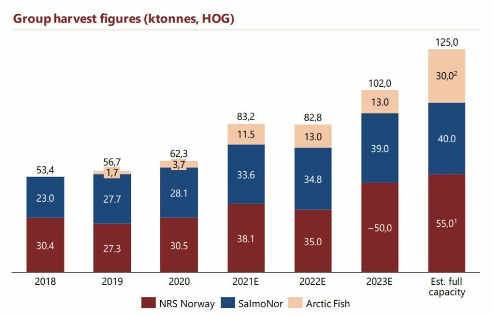 Anticipated harvests from NTS owned or part-owned salmon farmers SalmoNor (100% owned), Norway Royal Salmon (68% owned) and Arctic Fish (51% owned). Volumes in the right-hand column assume that SalmoNor gets development licences converted into standard licences, and that Arctic Fish is granted the new permits that it has applied for. Graph: NTS ASA.