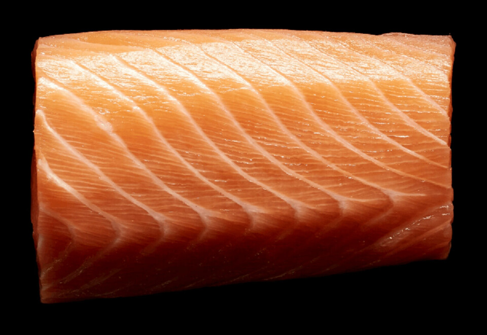 Scottish salmon is well regarded by top UK chefs, a survey shows. Photo: SSPO.
