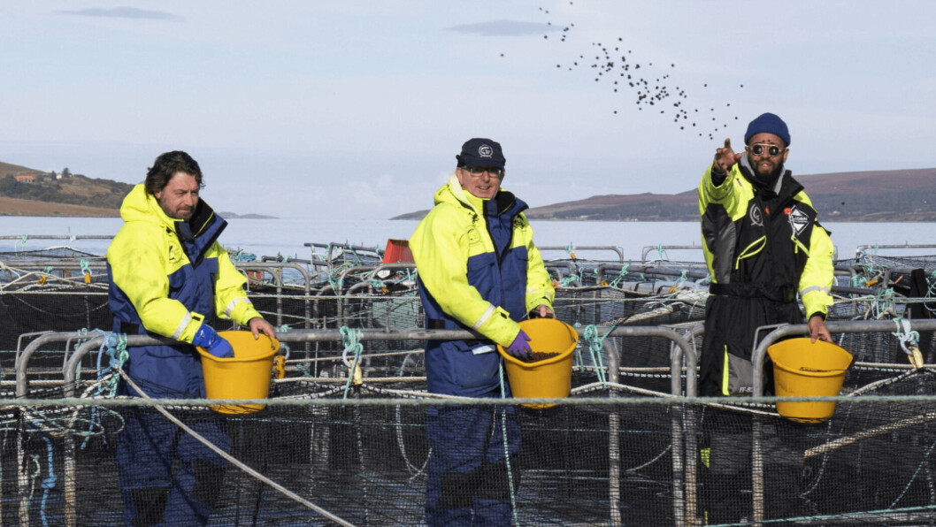 From left, chefs Shaun Rankin of Grantley Hall, John Quigley of Red Onion and James Cochran of 12:51 hand feeding fish at Wester Ross Salmon last autumn. Photo: SSPO. From left, chefs Shaun Rankin of Grantley Hall, John Quigley of Red Onion and James Cochran of 12:51 hand feeding fish at Wester Ross Salmon last autumn. Photo: SSPO.