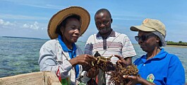 UN hears how seaweed farming relieves poverty