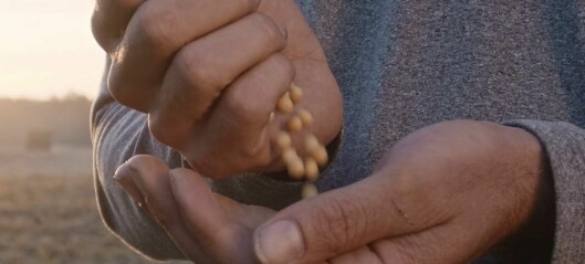 Riverence chooses next-generation soy for feed