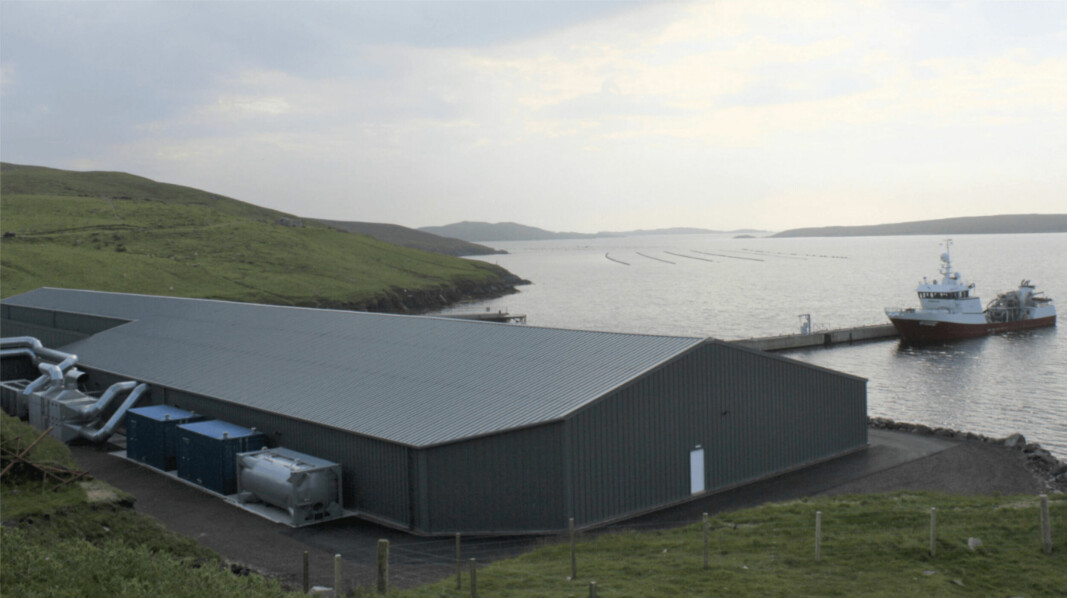 SSF Shetland's smolt facility at Girlsta. More robust, healthier smolts improved survival rates in 2021.