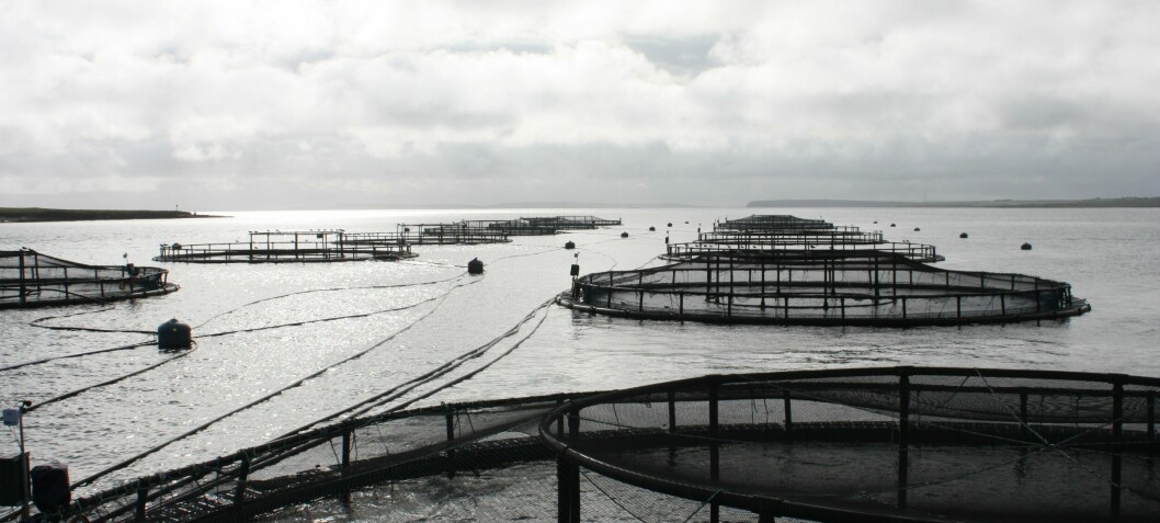 Swedish court halts three fish farms