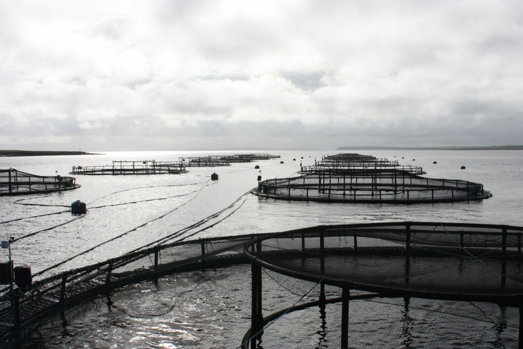 The Swedish court court questioned whether cages in open water was the best fish farming technique. The Swedish court court questioned whether cages in open water was the best fish farming technique.