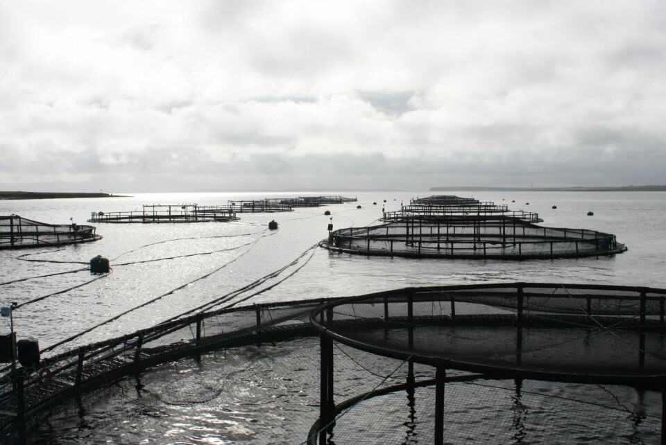 The Swedish court court questioned whether cages in open water was the best fish farming technique.
