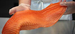 Salmonid exports earned Chile $3.24 bn in first half of 2022