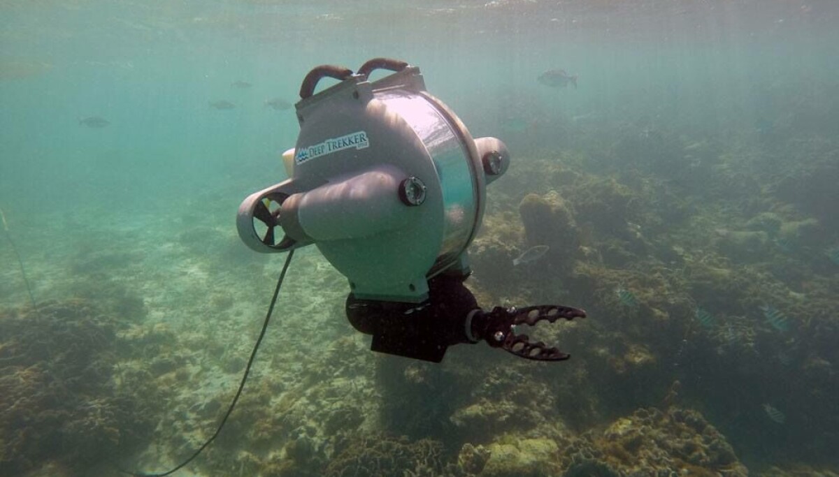 ROV team poised for growth