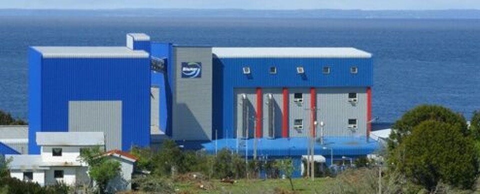 Biomar's Pargua feed mill. Image by Biomar.