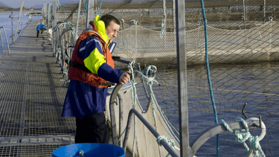 Malcolm Johnstone ends 16 years as aquaculture manager for RSPCA Assured next Tuesday, December 20.