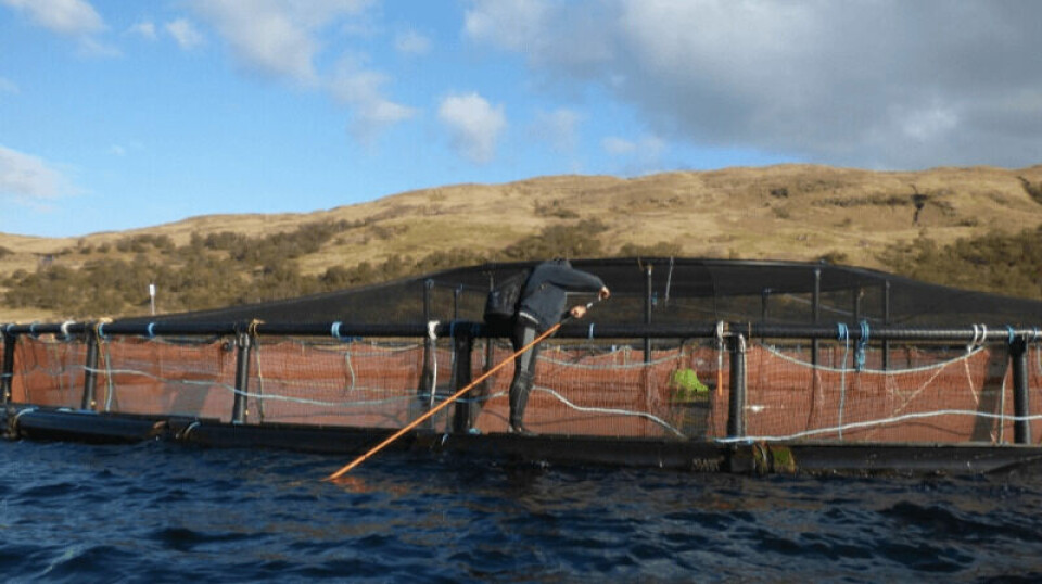 Anti-salmon farming activist Don Staniford preparing to use a long pole and a Go-Pro camera to film salmon inside a pen at Scottish Sea Farms' Loch Spelve site, after staff had gone home.