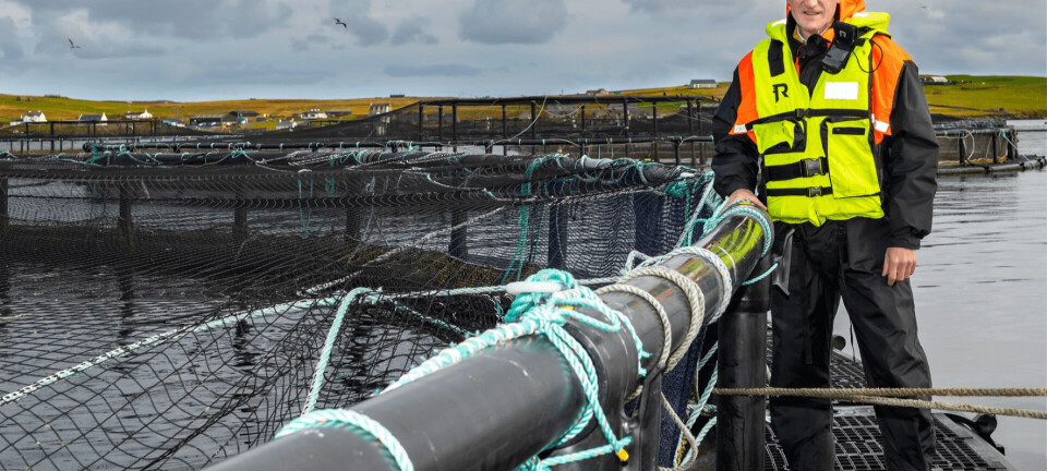 Salmon sector spells out progress since parliamentary inquiry