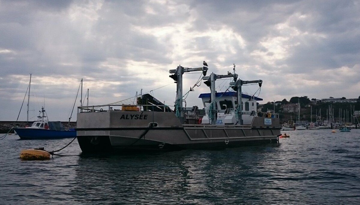Upgrade for Devon shellfish
