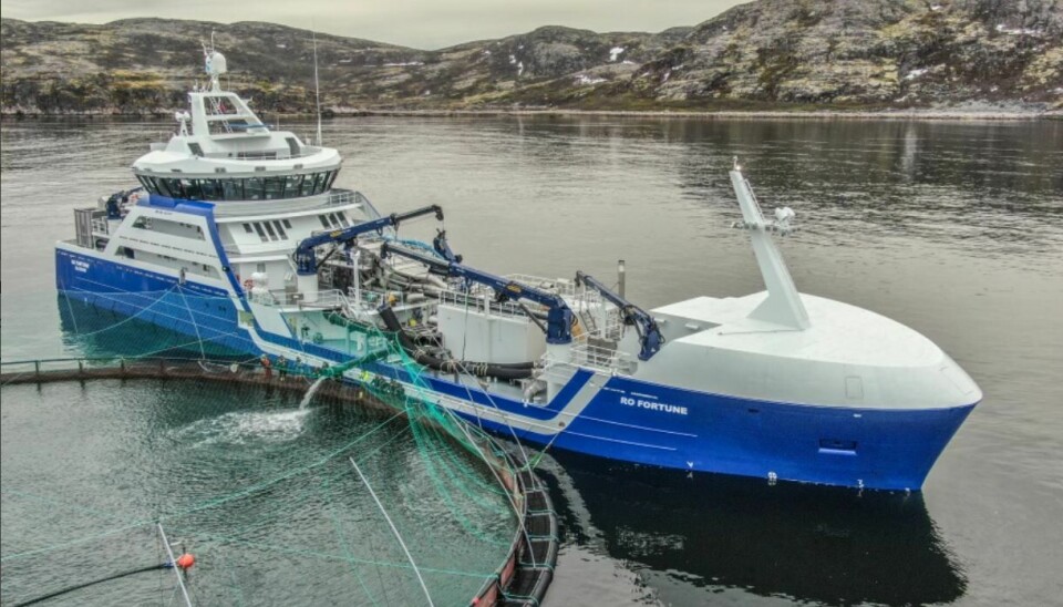 A pen being stocked with salmon at a Russian Aquaculture site in the Murmansk region. Photo: Russian Aquaculture.