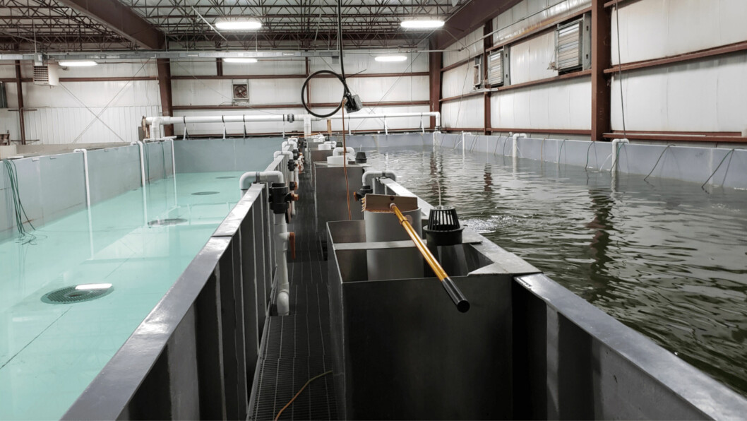 Raceways at the Finger Lakes Fish RAS facility in Auburn, New York State. Photo: Finger Lakes Fish, Inc.