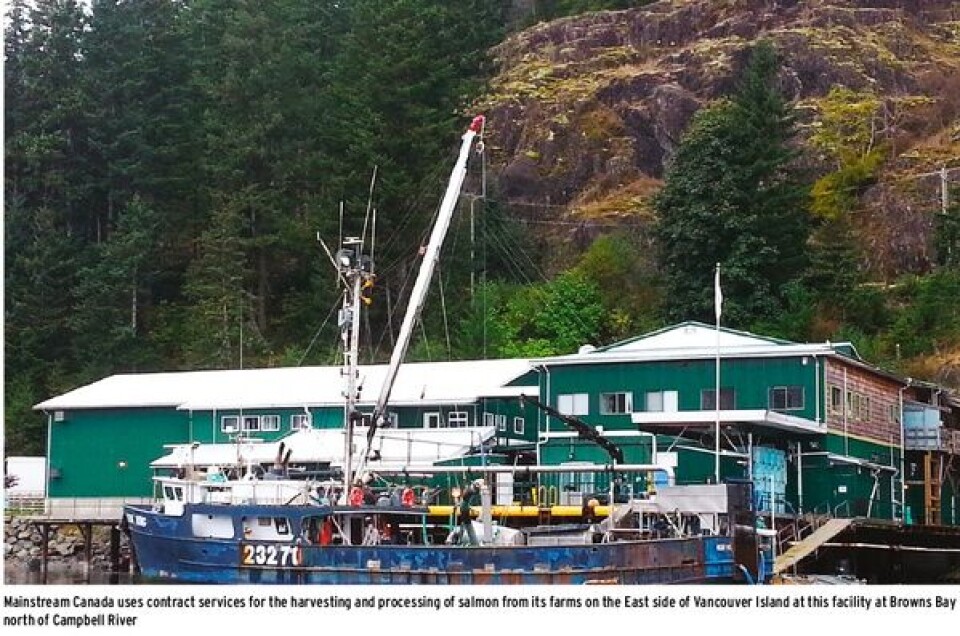 US consumers buy 40 million more pounds of farmed Atlantic salmon despite a price increase of 30-40%