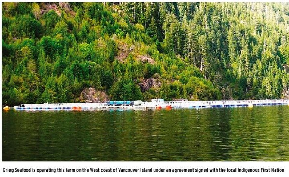 US consumers buy 40 million more pounds of farmed Atlantic salmon despite a price increase of 30-40%