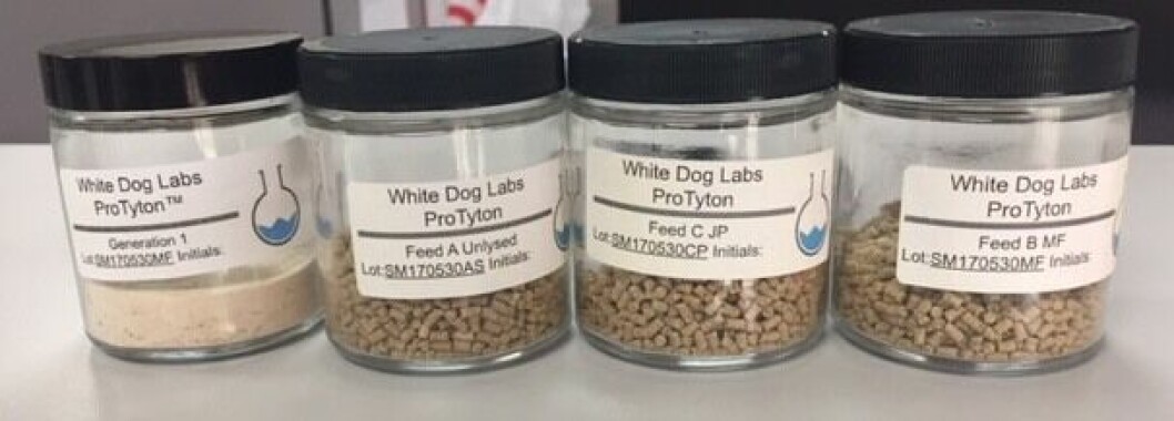 WDL will initially produce 3,000 tonnes per year of its single-cell feed ingredient. Photo: WDL