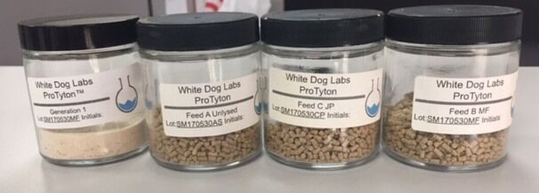 WDL will initially produce 3,000 tonnes per year of its single-cell feed ingredient. Photo: WDL WDL will initially produce 3,000 tonnes per year of its single-cell feed ingredient. Photo: WDL