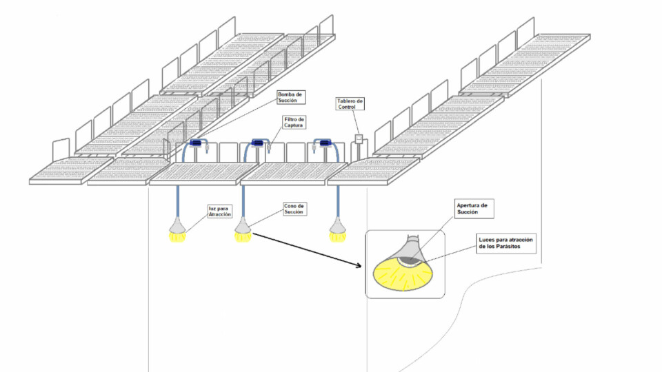 Indesol's light-based trap is designed to to reduce the rate of reinfection of salmon. Illustration: Indesol.