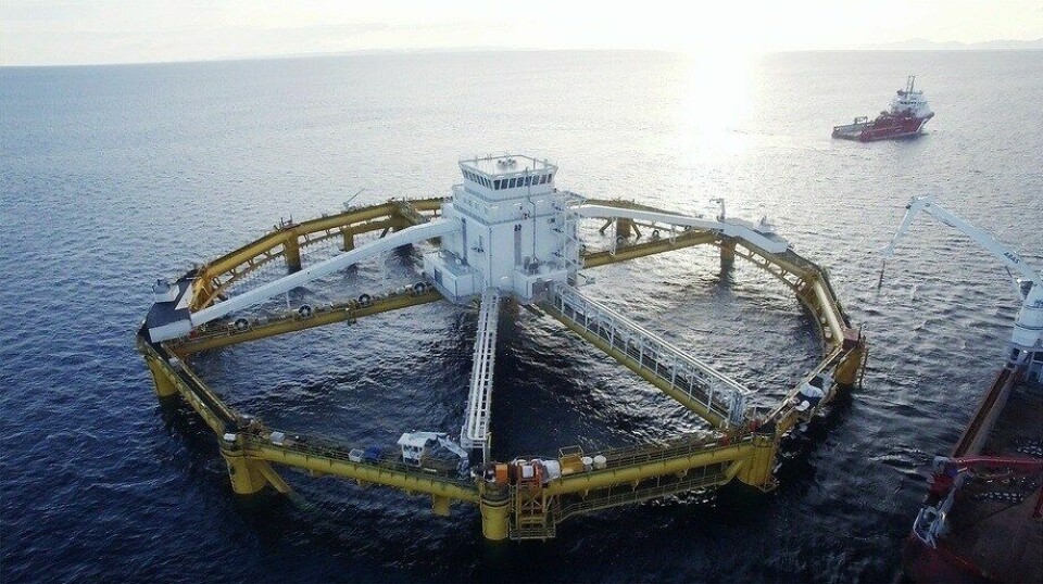 SalMar's Ocean Farm 1 salmon pen. Since this photo was taken the offshore farm has been modified and is being used for a third production cycle.