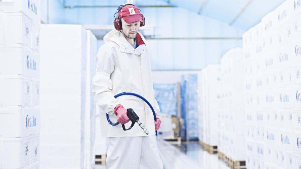 SalMar produced almost 37,000 gutted weight tonnes of salmon in the first three months of 2021. Photo: SalMar.