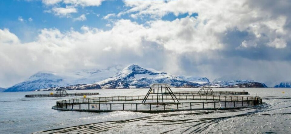 A Lerøy salmon farm site. The company faced challenges from jellyfish in the last quarter of 2023.