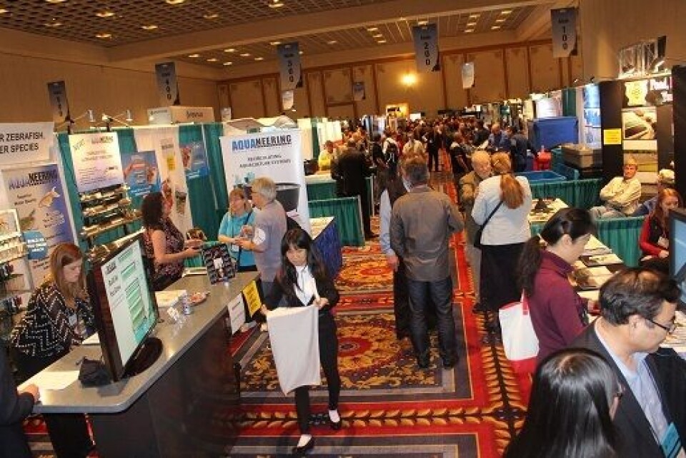 Vegas proves popular
