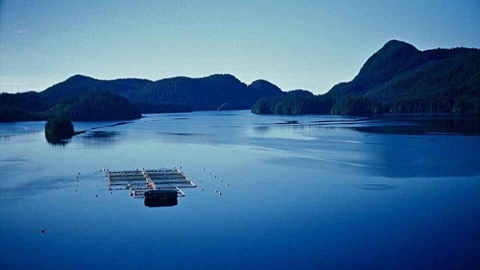 Members of the UBCM voted to urge the provincial government to transition salmon land to on-land facilities. Photo: BCSFA