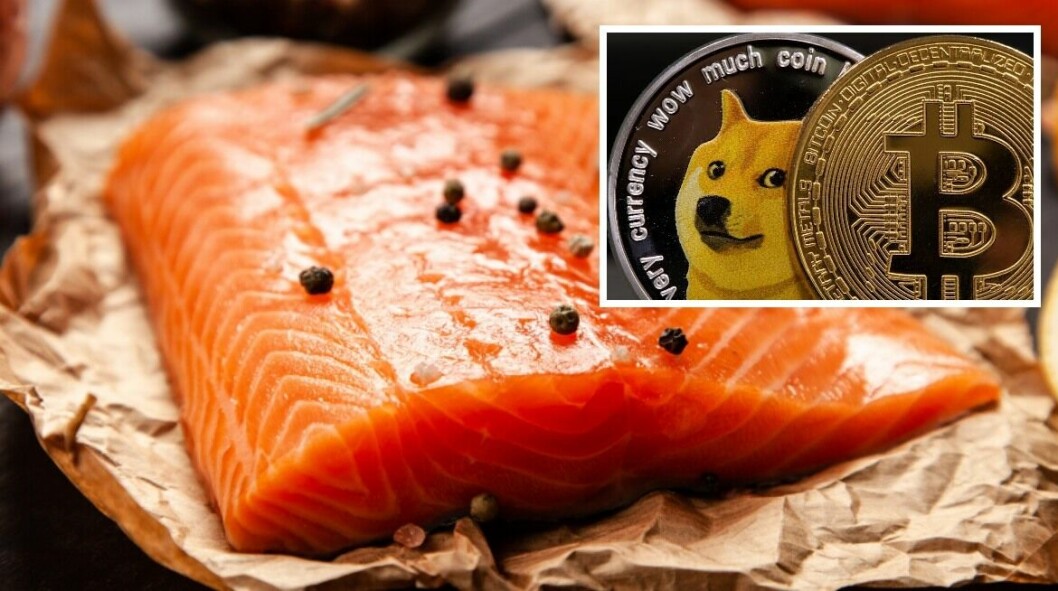 Oshēn, an online salmon brand from Ventisqueros' and Blumar's joint US marketing company BluGlacier, has announced that it will accept payment in a variety of cryptocurrencies including Dogecoin and Bitcoin. Images: BluGlacier; Yahoo..