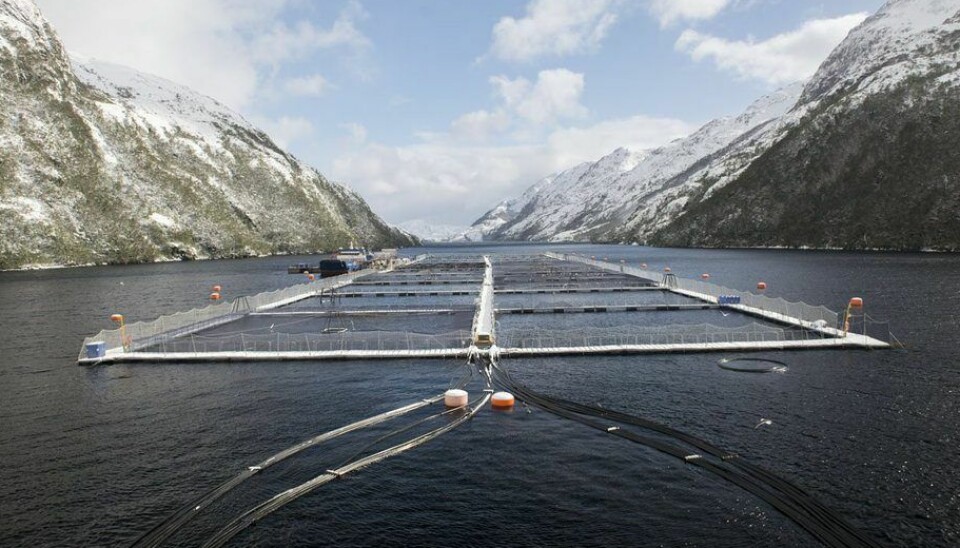 A Nova Austral salmon farm in southern Chile.